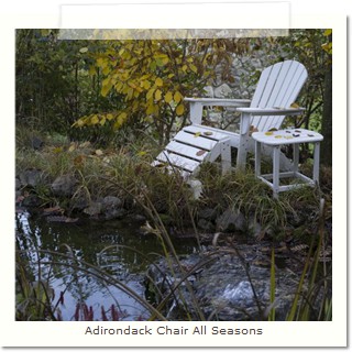 Adirondack Chair All Seasons